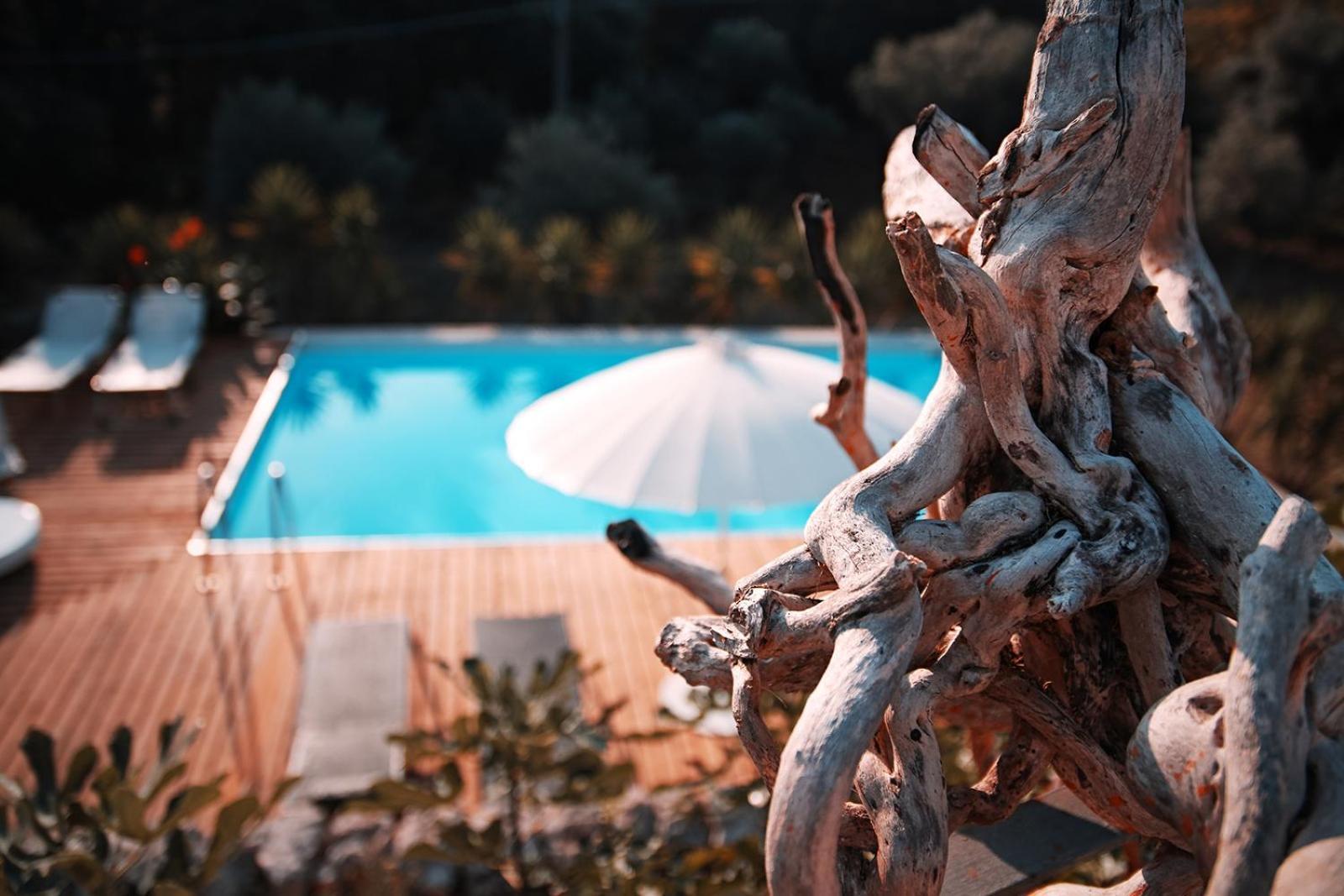 Trulli Jaja Bed & Breakfast Alberobello Ngoại thất bức ảnh